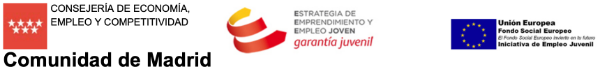 Garantía juvenil
