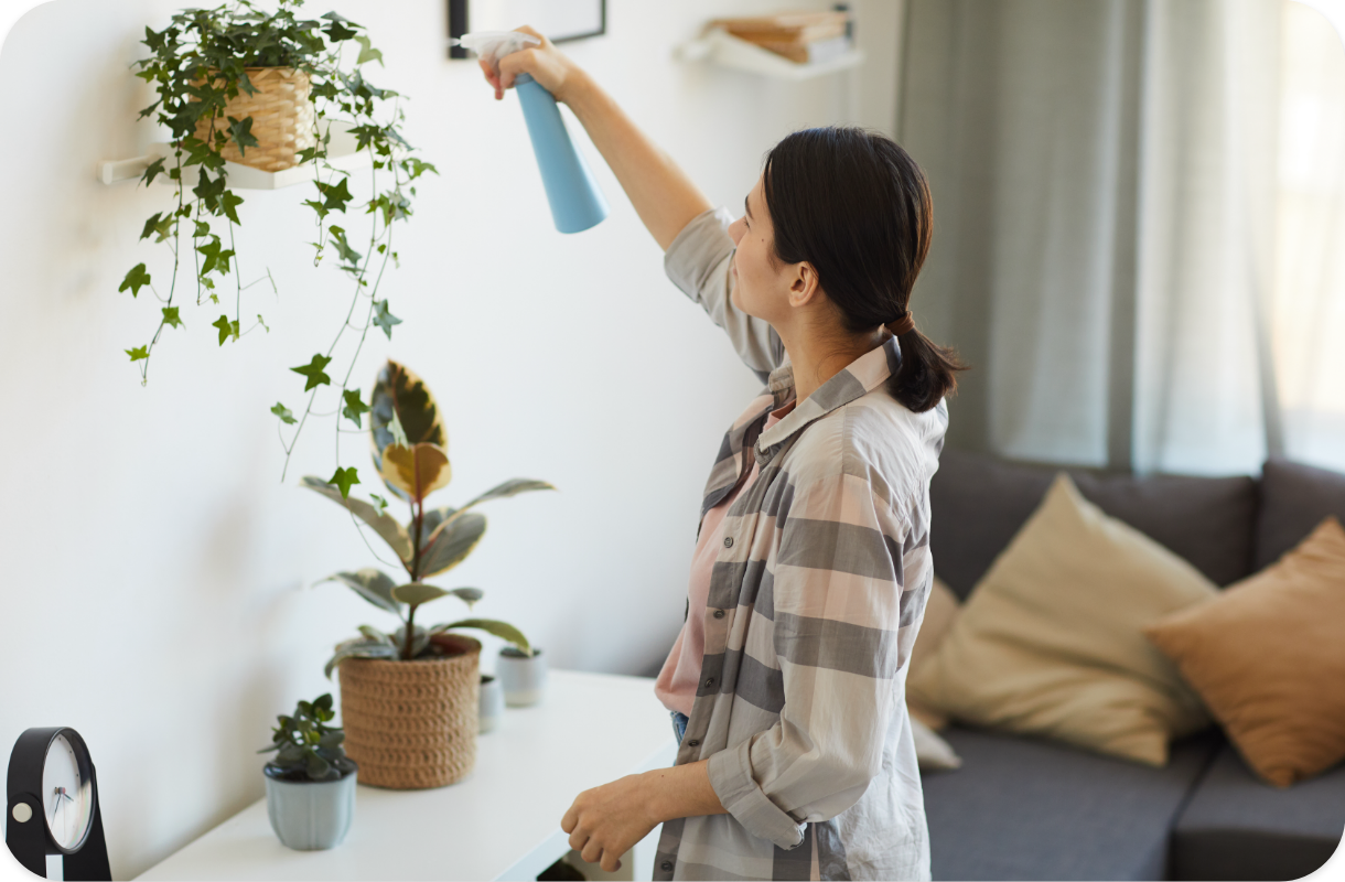 ¿Eres profesional de limpieza de hogar en Pozuelo de Alarcón?